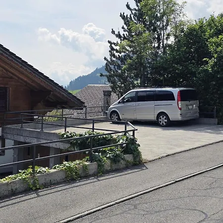 Am Ryschbaechli By Interhome Apartamento