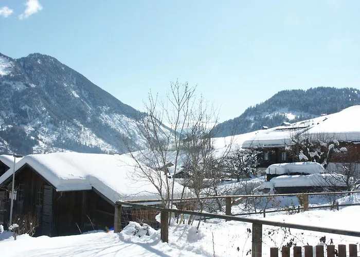 Apartmán Am Ryschbaechli By Interhome